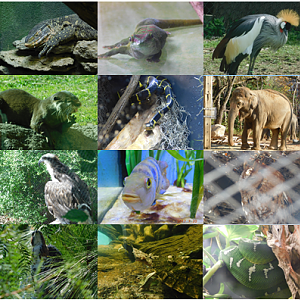 O Romeo, Romeo, Wherefore art thou Romeo? - June 2021 Puzzle