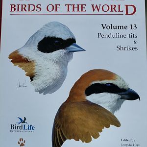 Handbook of the Birds of the World – Volume 13 Penduline-tits to Shrikes