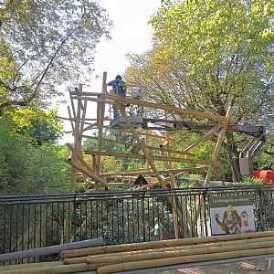 Himalayan red panda exhibit [2015]