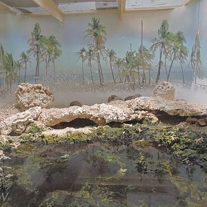 Clipperton crab terrarium [2015]