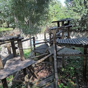 Binturong exhibit [2015]