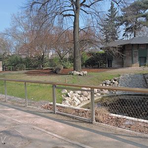 Malayan tapir exhibit [2017]