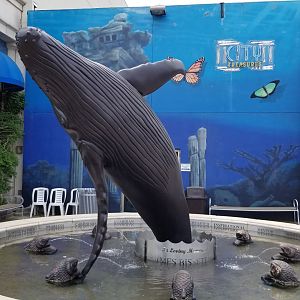 Long Island Aquarium - Humpback statue memorial
