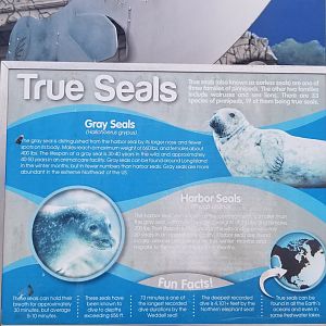 Long Island Aquarium - Seal sign