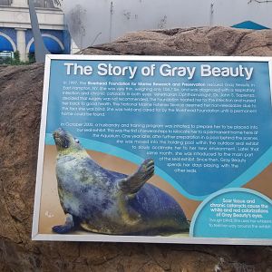 Long Island Aquarium - Gray seal sign
