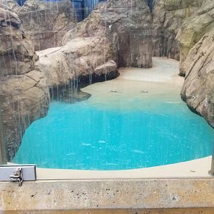 Long Island Aquarium - Seal exhibit