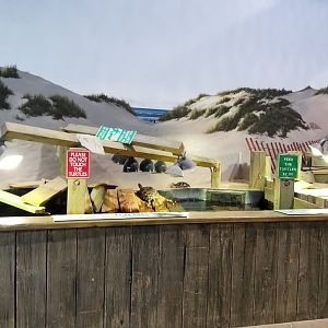 Long Island Aquarium - Turtles