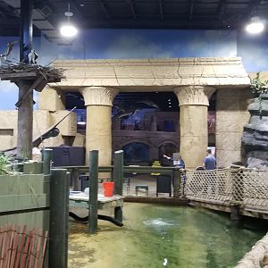 Long Island Aquarium - lagoon, with view of main Atlantis room entrance