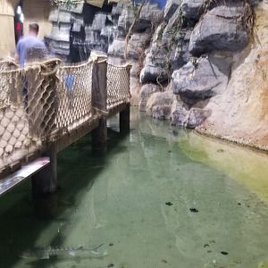 Long Island Aquarium - Lagoon