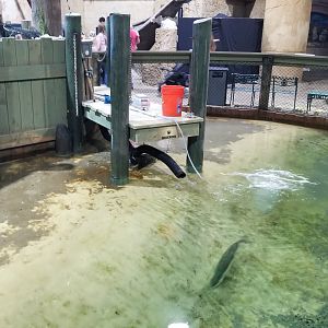 Long Island Aquarium - Lagoon