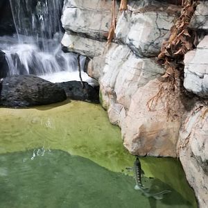 Long Island Aquarium - Lagoon