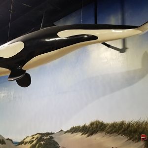 Long Island Aquarium - Orca over lagoon