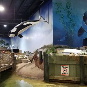 Long Island Aquarium - Lagoon, looking back to turtles