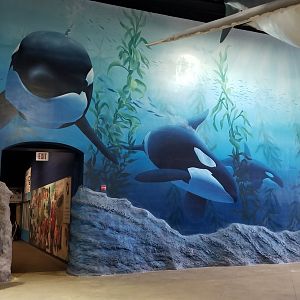 Long Island Aquarium - Mammal mural