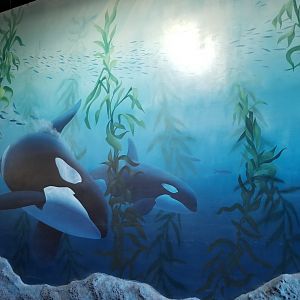 Long Island Aquarium - Mammal mural