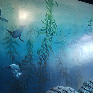 Long Island Aquarium - Mammal mural