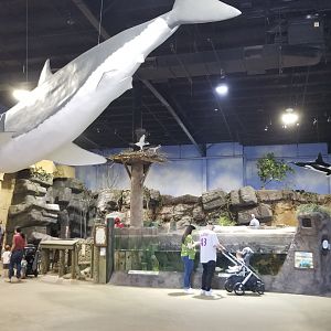 Long Island Aquarium - Tidal marsh with lagoon behind