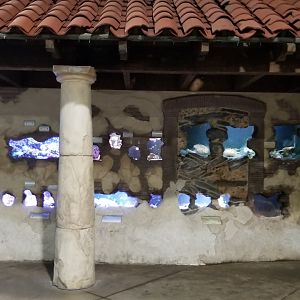 Long Island Aquarium - Crab villa