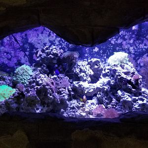 Long Island Aquarium - Crab villa