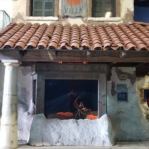 Long Island Aquarium - Crab villa, Japanese spider crab