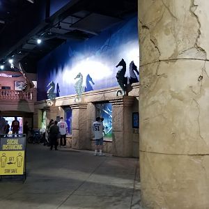 Long Island Aquarium - Main atlantis room