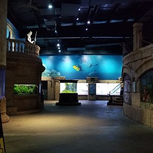 Long Island Aquarium - Main atlantis room