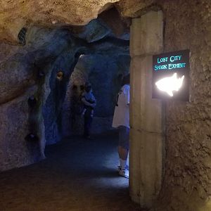 Long Island Aquarium - Entrance to Lost City of Atlantis shark exhibit