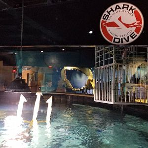 Long Island Aquarium - Lost City of Atlantis shark exhibit from above