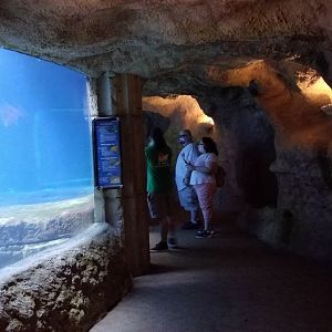 Long Island Aquarium - Exit from Lost City of Atlantis shark exhibit