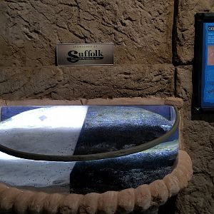 Long Island Aquarium - Flounder