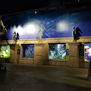 Long Island Aquarium - First 4 exhibits (r-l best buddies, piranha, shipwrecks, discus)