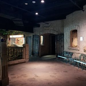Long Island Aquarium - Poseidon's Treasure Room