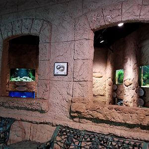 Long Island Aquarium - Poseidon's Treasure Room