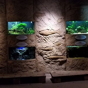 Long Island Aquarium - Poseidon's Treasure Room