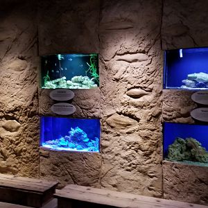 Long Island Aquarium - Poseidon's Treasure Room