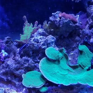 Long Island Aquarium - Aquaculture tank