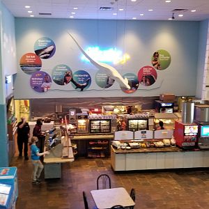 Long Island Aquarium - Cafe from above