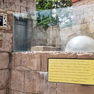 Long Island Aquarium - Penguins