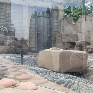 Long Island Aquarium - Penguins