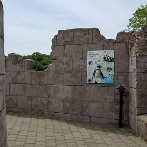 Long Island Aquarium - Penguins