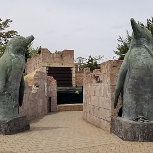 Long Island Aquarium - Penguins from other direction