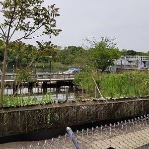 Long Island Aquarium - Marsh