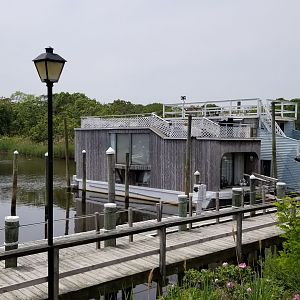 Long Island Aquarium - Marsh