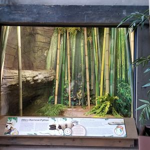 Long Island Aquarium - Critter Corner, burmese python