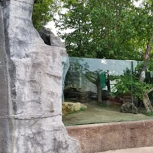 Long Island Aquarium - NARO otter falls