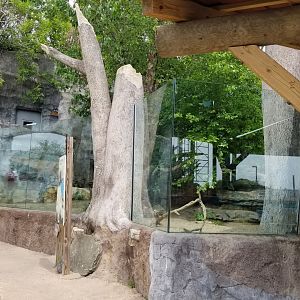 Long Island Aquarium - NARO otter falls