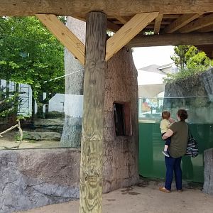 Long Island Aquarium - NARO otter falls