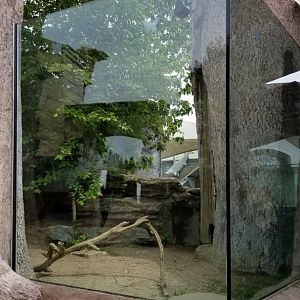 Long Island Aquarium - NARO otter falls