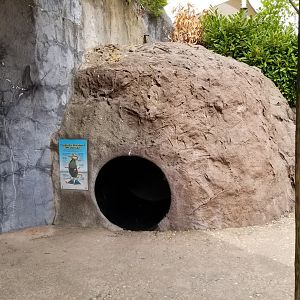Long Island Aquarium - NARO otter falls, kid tunnel