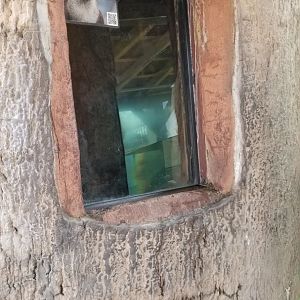 Long Island Aquarium - NARO otter falls, inside tree viewing